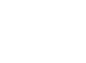 Katja Wallenta Logo freie Traurednerin Stuttgart